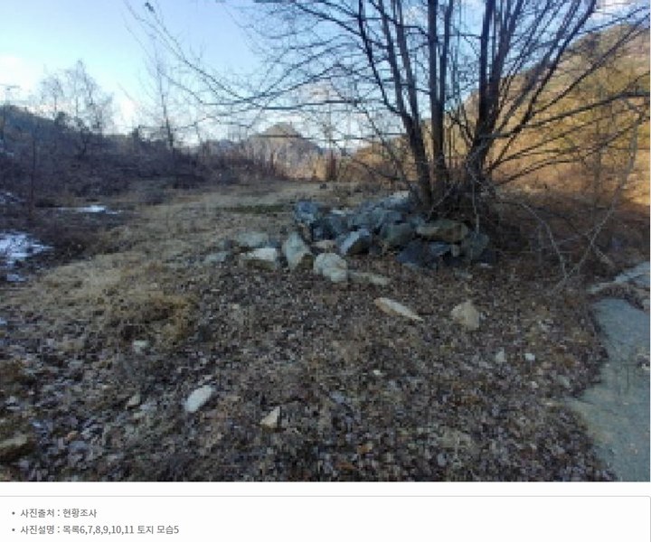 2025타경501820 충청남도 금산군 제원면 천내리 196-38 임야 경매 이미지
