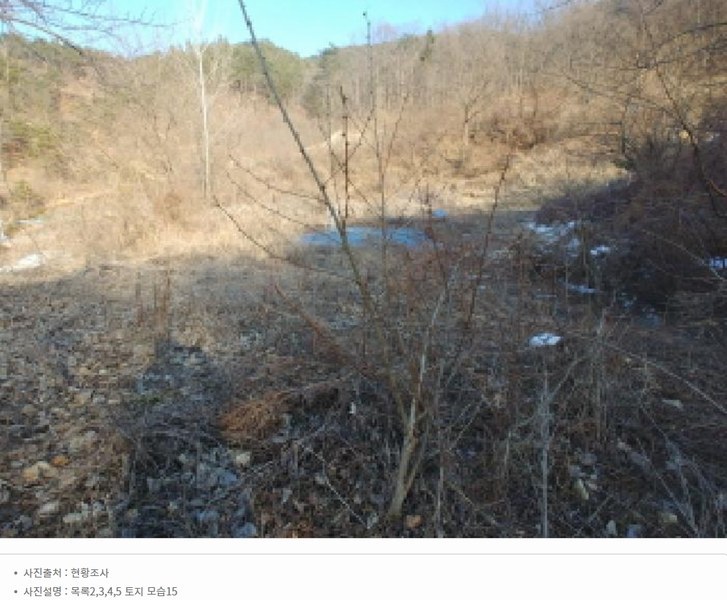 2025타경501820 충청남도 금산군 제원면 천내리 196-38 임야 경매 이미지