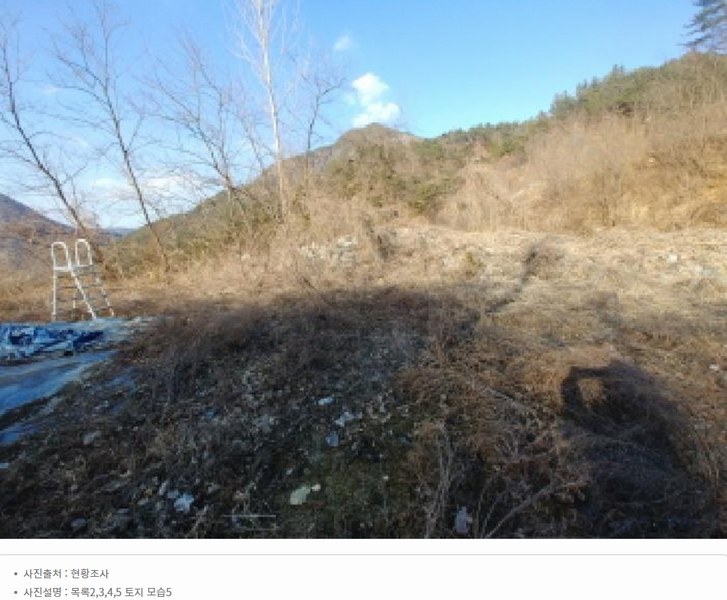 2025타경501820 충청남도 금산군 제원면 천내리 196-38 임야 경매 이미지