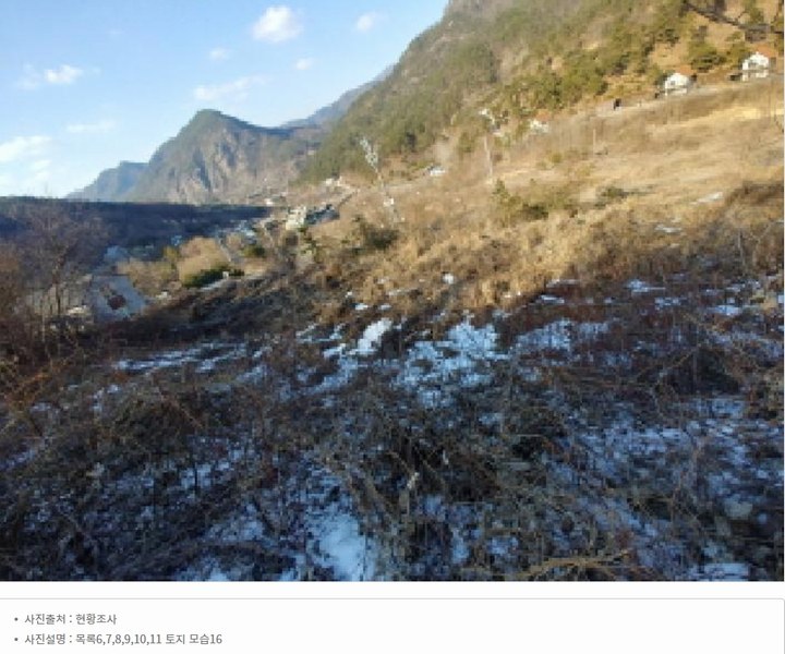 2025타경501820 충청남도 금산군 제원면 천내리 196-38 임야 경매 이미지
