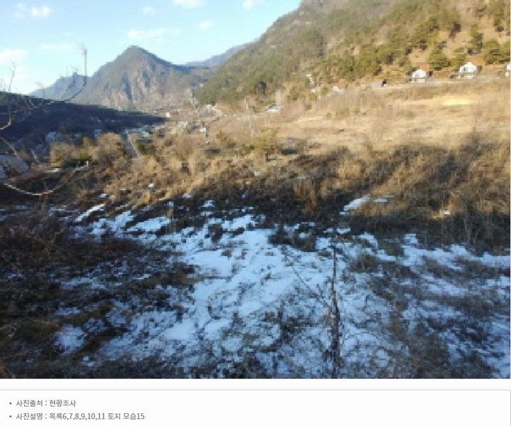 2025타경501820 충청남도 금산군 제원면 천내리 196-38 임야 경매 이미지