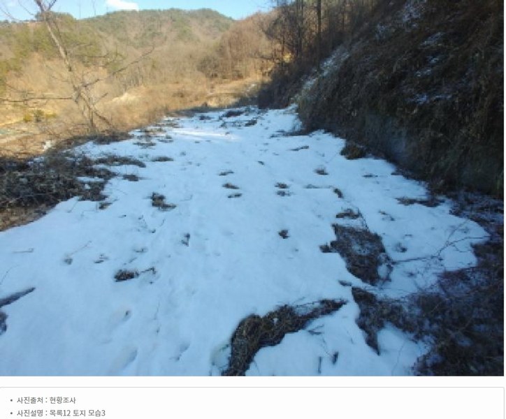 2025타경501820 충청남도 금산군 제원면 천내리 196-38 임야 경매 이미지