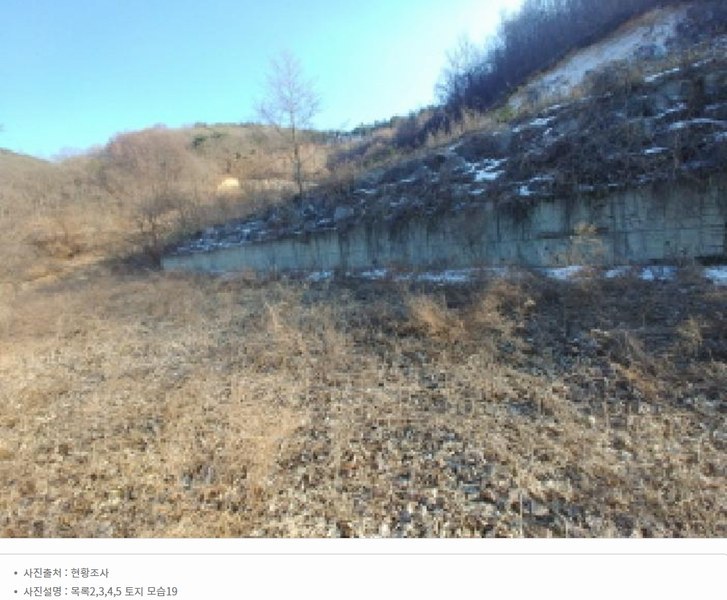 2025타경501820 충청남도 금산군 제원면 천내리 196-38 임야 경매 이미지