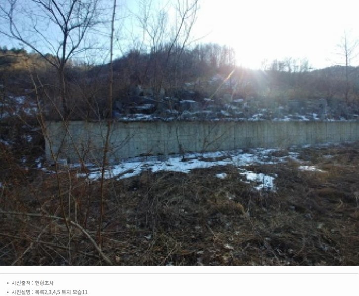 2025타경501820 충청남도 금산군 제원면 천내리 196-38 임야 경매 이미지
