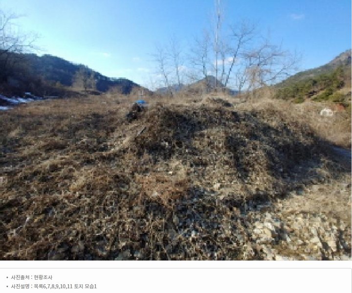2025타경501820 충청남도 금산군 제원면 천내리 196-38 임야 경매 이미지
