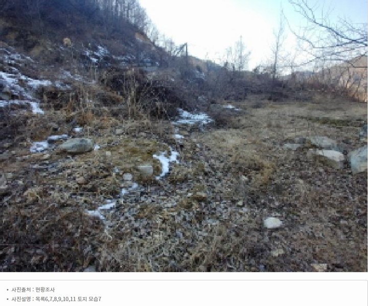 2025타경501820 충청남도 금산군 제원면 천내리 196-38 임야 경매 이미지