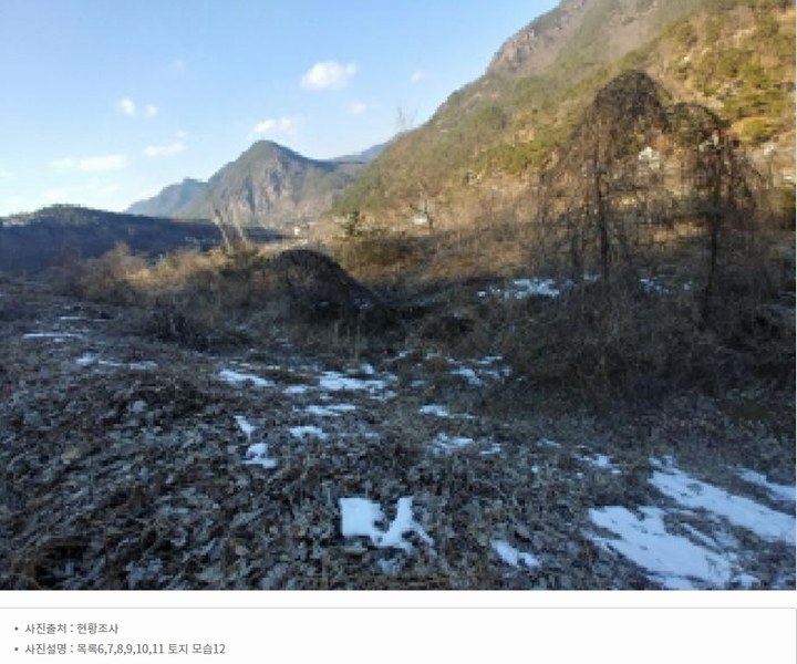 2025타경501820 충청남도 금산군 제원면 천내리 196-38 임야 경매 이미지