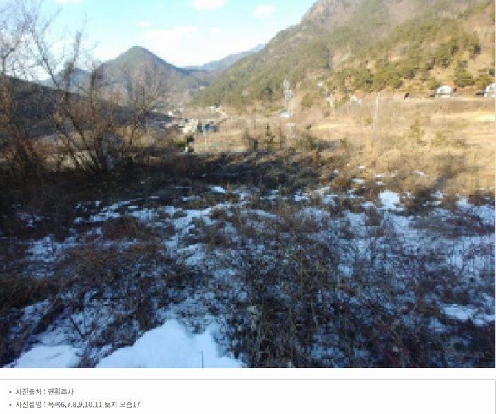 2025타경501820 충청남도 금산군 제원면 천내리 196-38 임야 경매 이미지