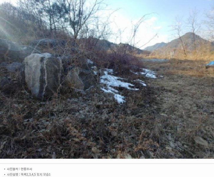 2025타경501820 충청남도 금산군 제원면 천내리 196-38 임야 경매 이미지
