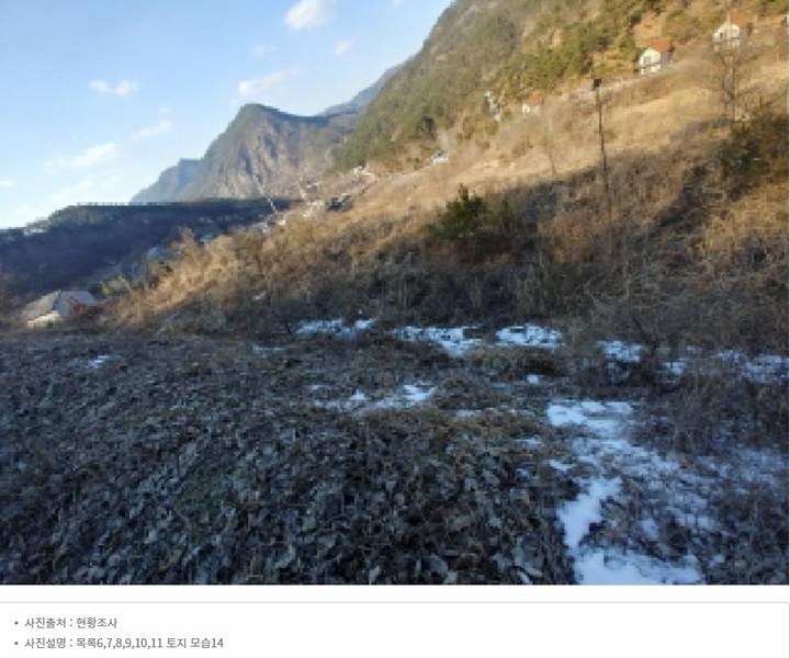 2025타경501820 충청남도 금산군 제원면 천내리 196-38 임야 경매 이미지