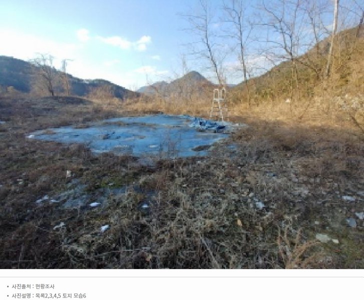 2025타경501820 충청남도 금산군 제원면 천내리 196-38 임야 경매 이미지