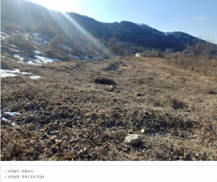 2025타경501820 충청남도 금산군 제원면 천내리 196-38 임야 경매 이미지