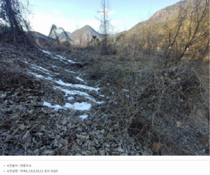 2025타경501820 충청남도 금산군 제원면 천내리 196-38 임야 경매 이미지