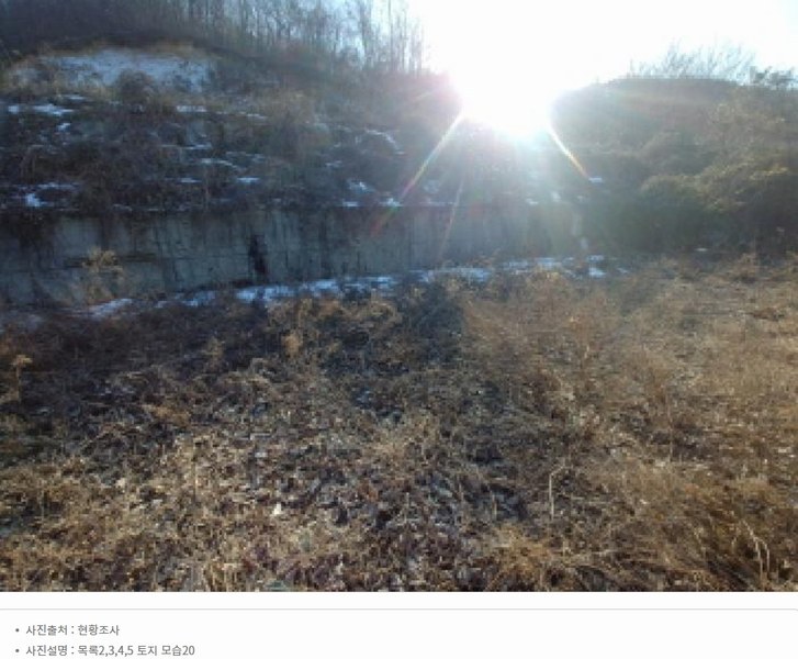 2025타경501820 충청남도 금산군 제원면 천내리 196-38 임야 경매 이미지
