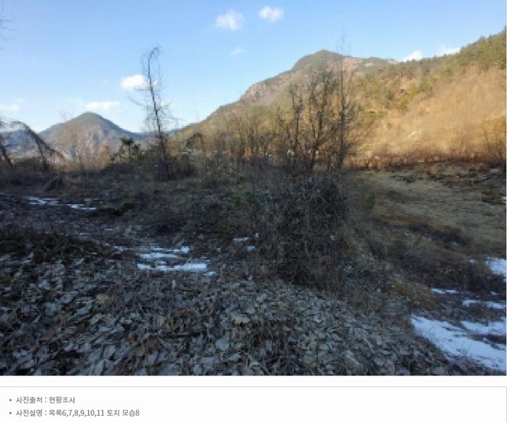 2025타경501820 충청남도 금산군 제원면 천내리 196-38 임야 경매 이미지