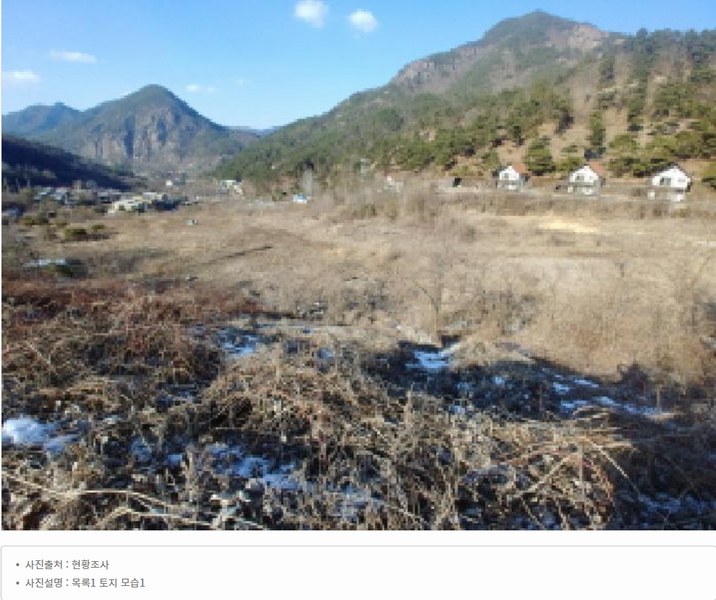 2025타경501820 충청남도 금산군 제원면 천내리 196-38 임야 경매 이미지