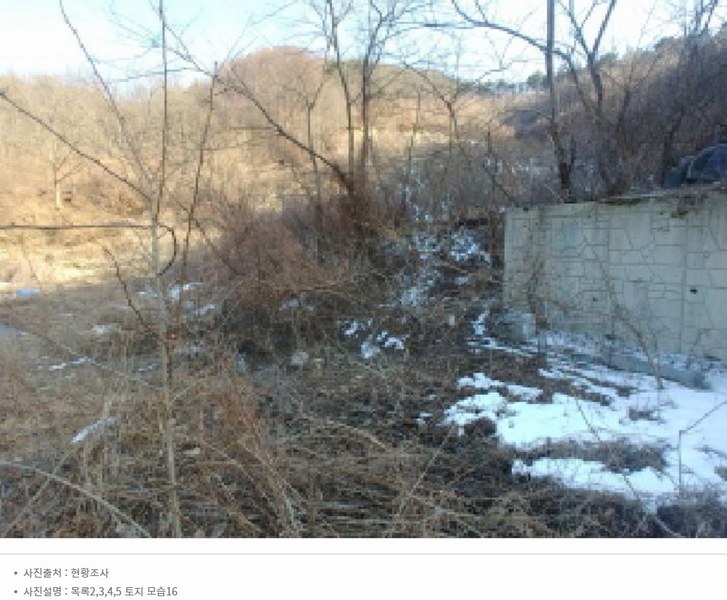 2025타경501820 충청남도 금산군 제원면 천내리 196-38 임야 경매 이미지