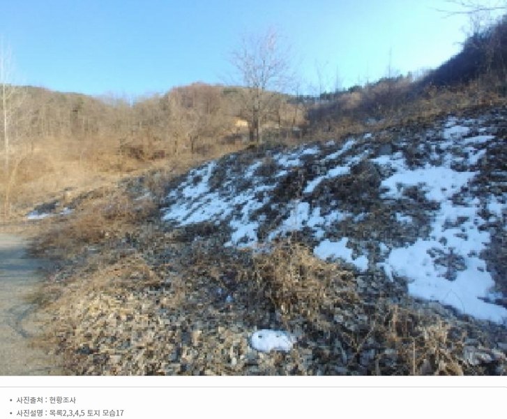 2025타경501820 충청남도 금산군 제원면 천내리 196-38 임야 경매 이미지