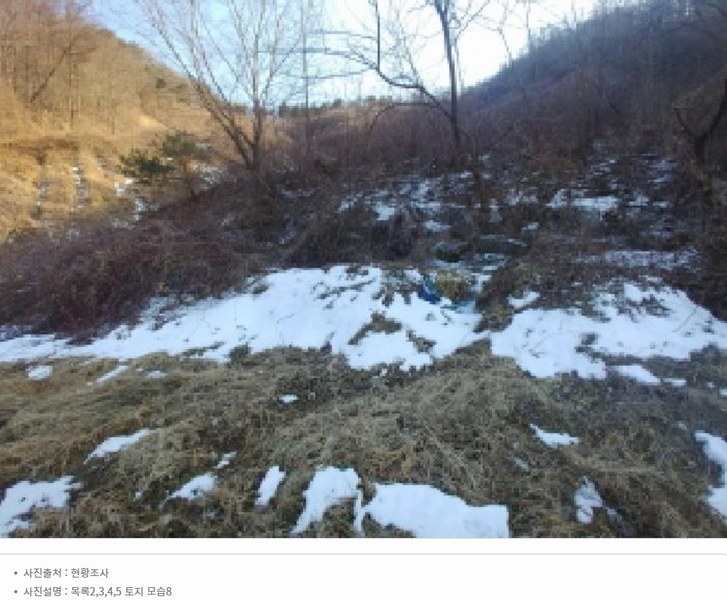 2025타경501820 충청남도 금산군 제원면 천내리 196-38 임야 경매 이미지