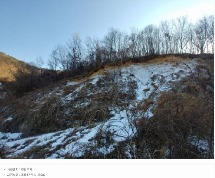 2025타경501820 충청남도 금산군 제원면 천내리 196-38 임야 경매 이미지
