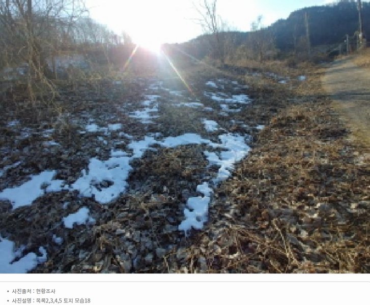 2025타경501820 충청남도 금산군 제원면 천내리 196-38 임야 경매 이미지