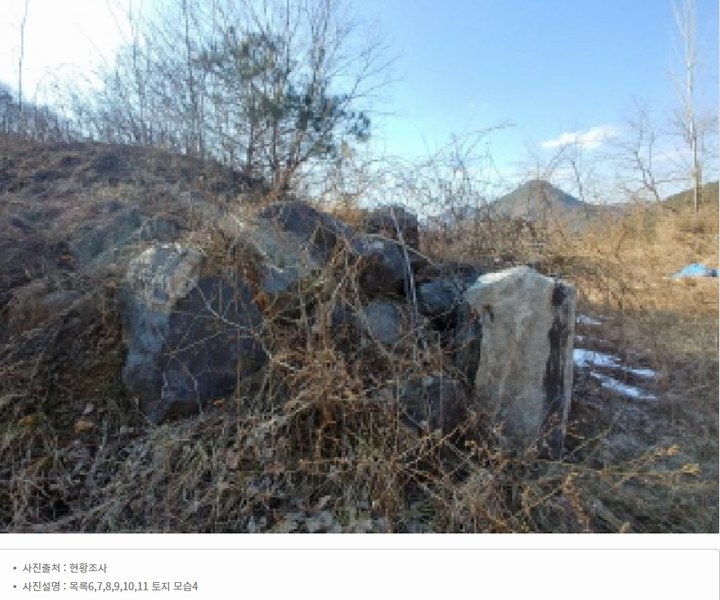 2025타경501820 충청남도 금산군 제원면 천내리 196-38 임야 경매 이미지