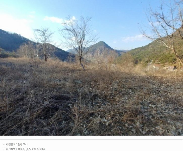 2025타경501820 충청남도 금산군 제원면 천내리 196-38 임야 경매 이미지