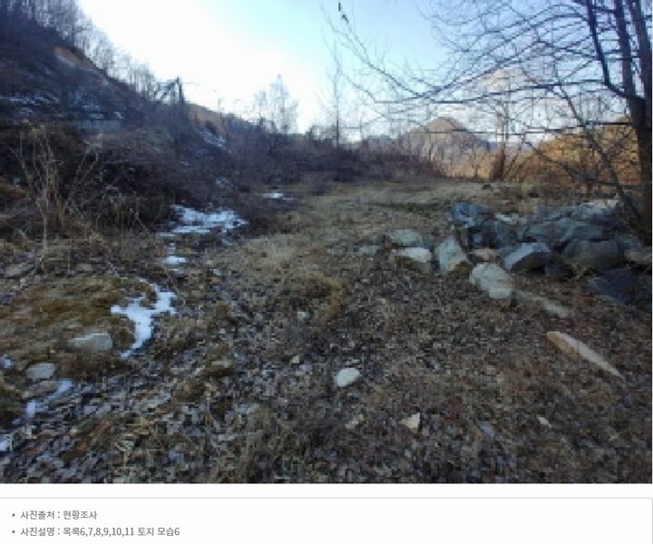 2025타경501820 충청남도 금산군 제원면 천내리 196-38 임야 경매 이미지