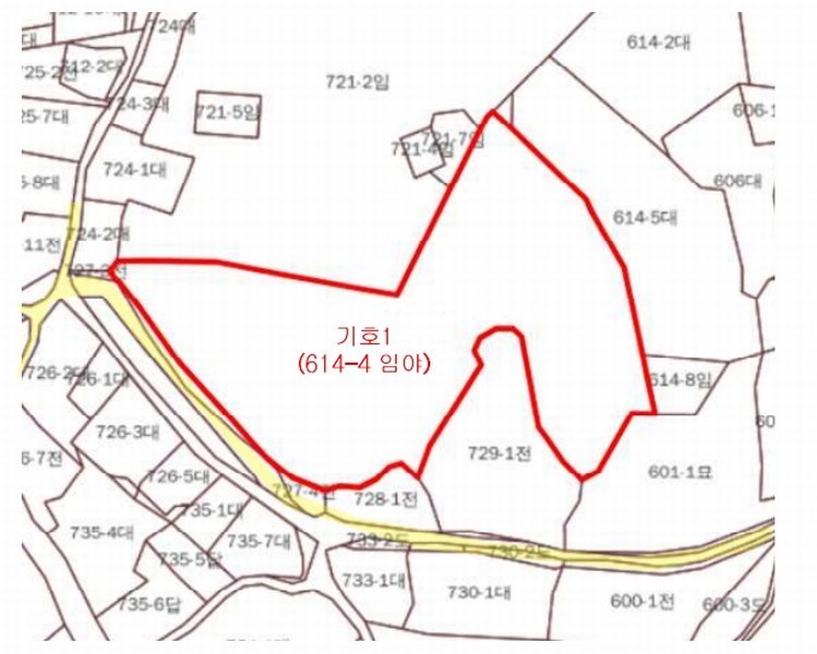 2025타경501827 세종특별자치시 부강면 금호리 614-4 임야 경매 이미지