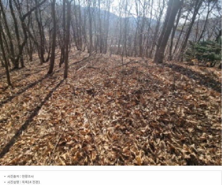 2025타경501827 세종특별자치시 부강면 금호리 614-4 임야 경매 이미지