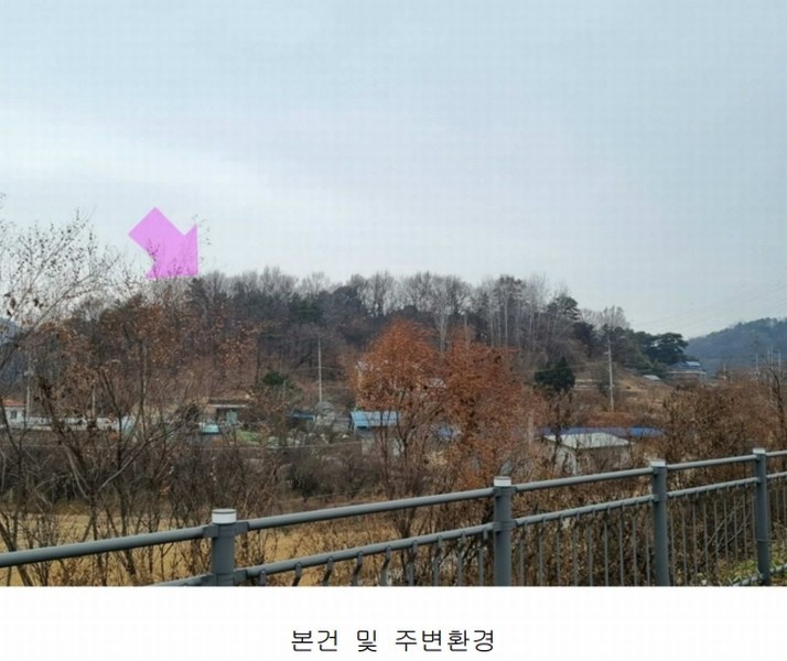 2025타경501827 세종특별자치시 부강면 금호리 614-4 임야 경매 이미지