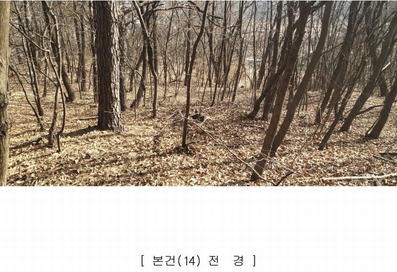 2025타경501827 세종특별자치시 부강면 금호리 614-4 임야 경매 이미지