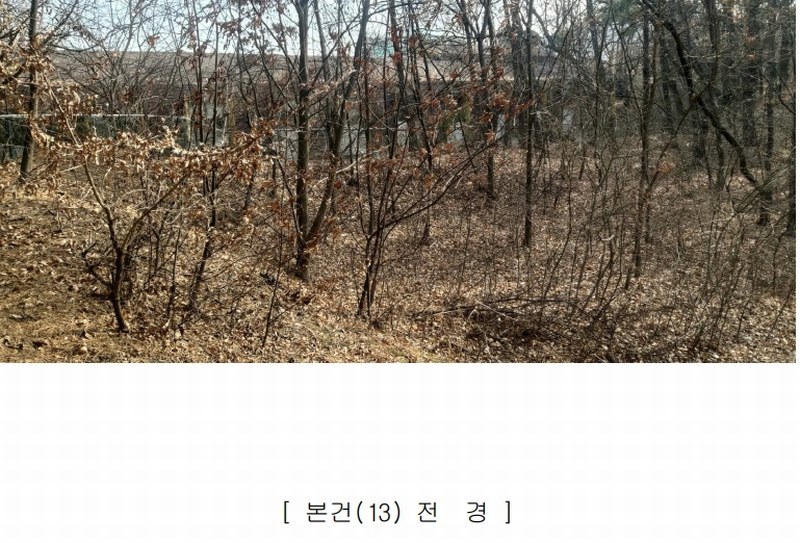 2025타경501827 세종특별자치시 부강면 금호리 614-4 임야 경매 이미지