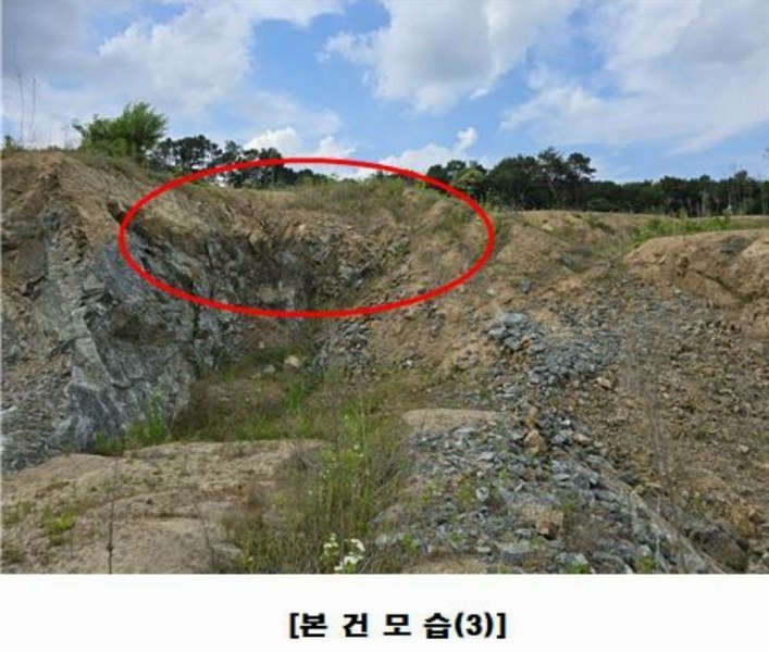2025타경502437 세종특별자치시 장군면 대교리 175-2 임야 경매 이미지