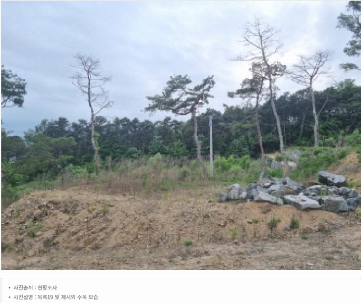 2025타경502437 세종특별자치시 장군면 대교리 175-2 임야 경매 이미지