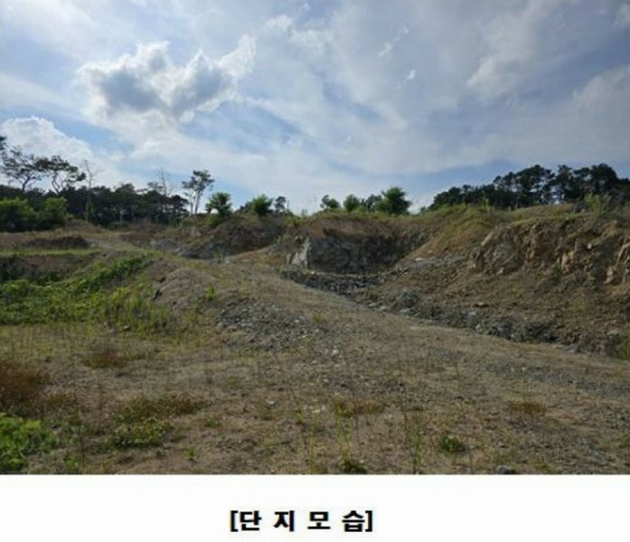 2025타경502437 세종특별자치시 장군면 대교리 175-2 임야 경매 이미지