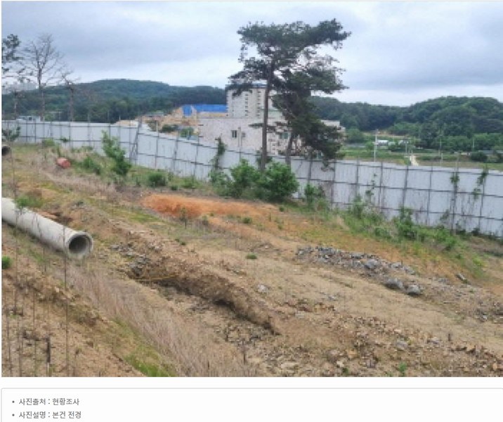 2025타경502437 세종특별자치시 장군면 대교리 175-2 임야 경매 이미지