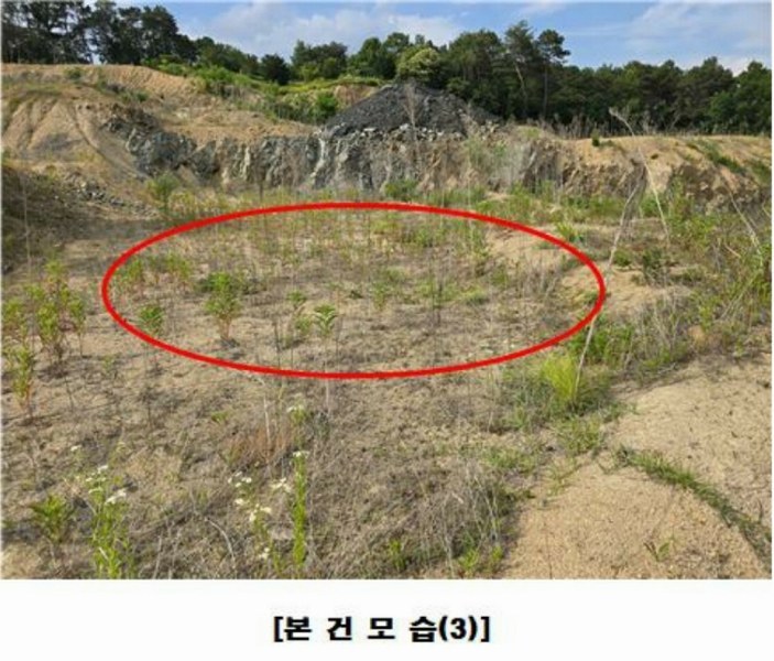 2025타경502437 세종특별자치시 장군면 대교리 175-2 임야 경매 이미지