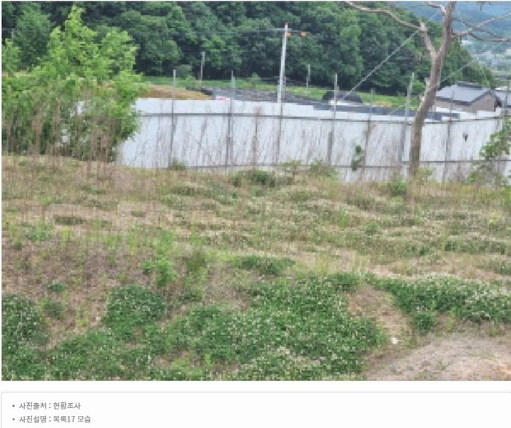 2025타경502437 세종특별자치시 장군면 대교리 175-2 임야 경매 이미지