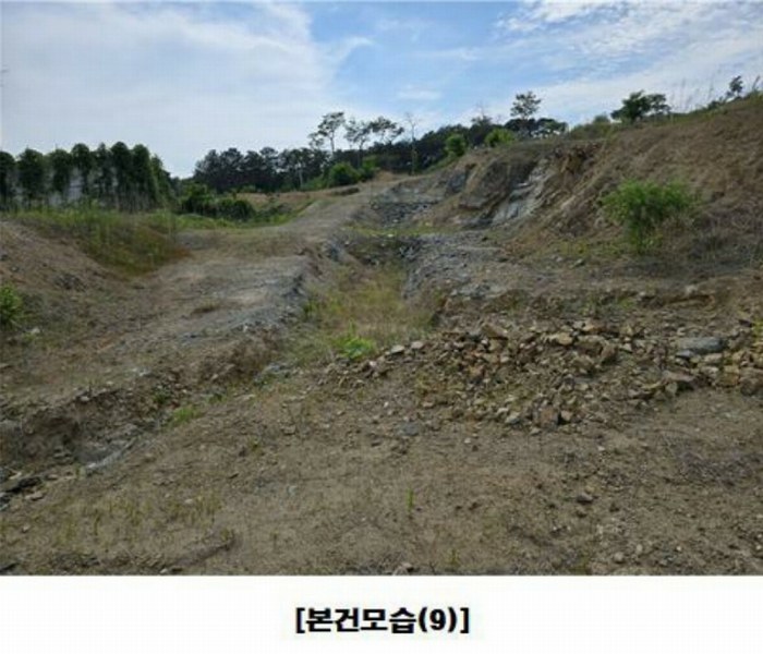 2025타경502437 세종특별자치시 장군면 대교리 175-2 임야 경매 이미지