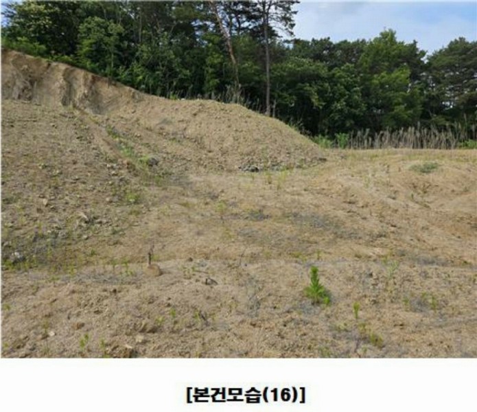 2025타경502437 세종특별자치시 장군면 대교리 175-2 임야 경매 이미지