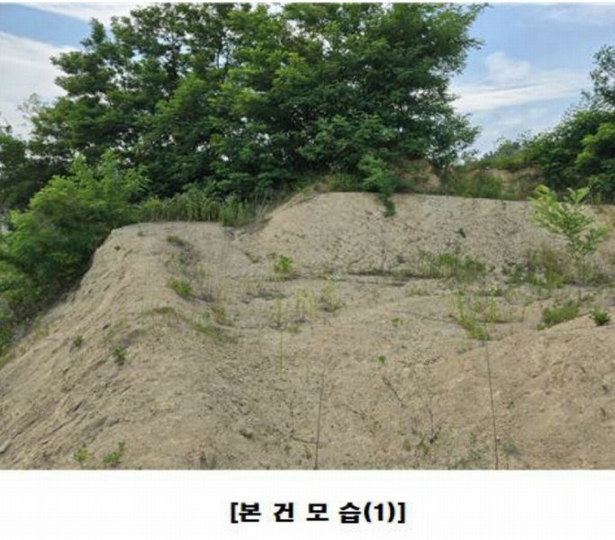 2025타경502437 세종특별자치시 장군면 대교리 175-2 임야 경매 이미지