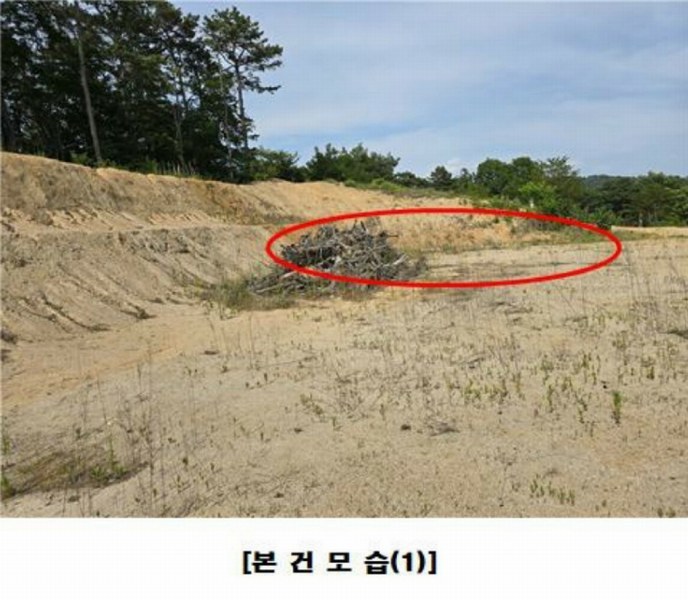 2025타경502437 세종특별자치시 장군면 대교리 175-2 임야 경매 이미지