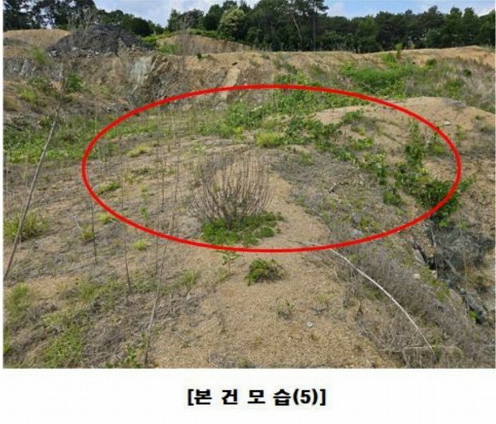 2025타경502437 세종특별자치시 장군면 대교리 175-2 임야 경매 이미지