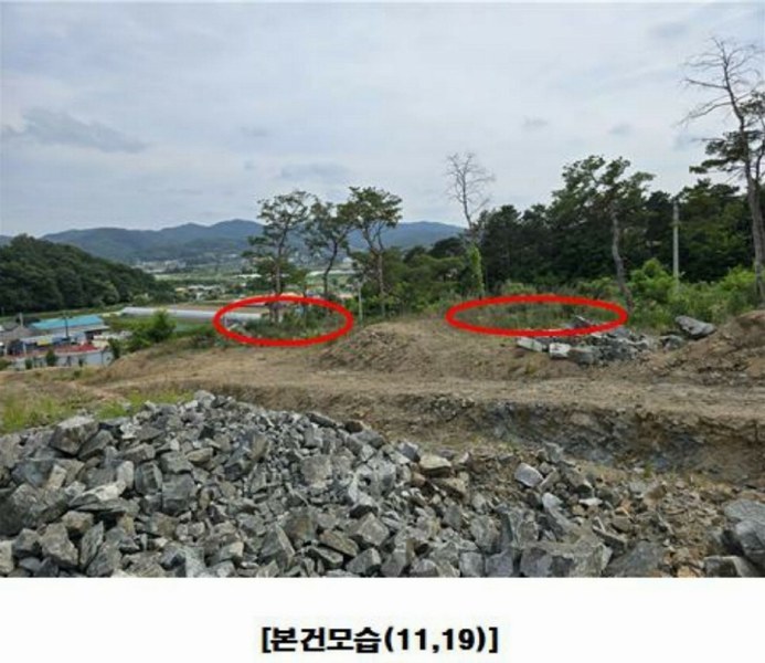 2025타경502437 세종특별자치시 장군면 대교리 175-2 임야 경매 이미지