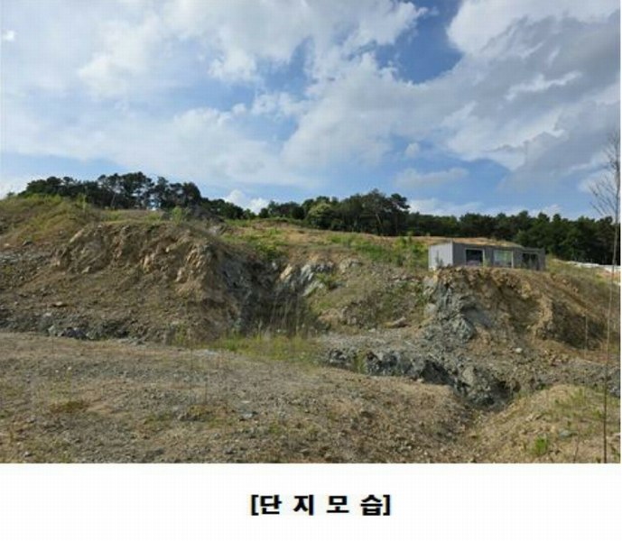 2025타경502437 세종특별자치시 장군면 대교리 175-2 임야 경매 이미지