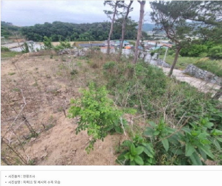 2025타경502437 세종특별자치시 장군면 대교리 175-2 임야 경매 이미지
