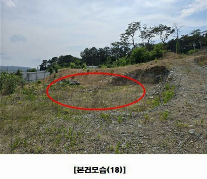 2025타경502437 세종특별자치시 장군면 대교리 175-2 임야 경매 이미지