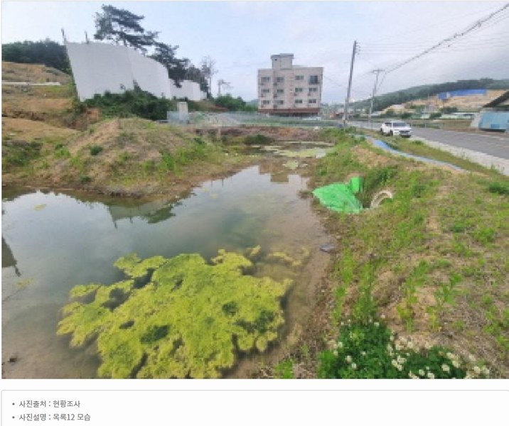 2025타경502437 세종특별자치시 장군면 대교리 175-2 임야 경매 이미지