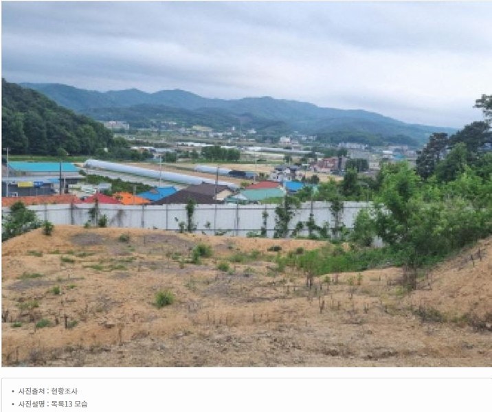 2025타경502437 세종특별자치시 장군면 대교리 175-2 임야 경매 이미지